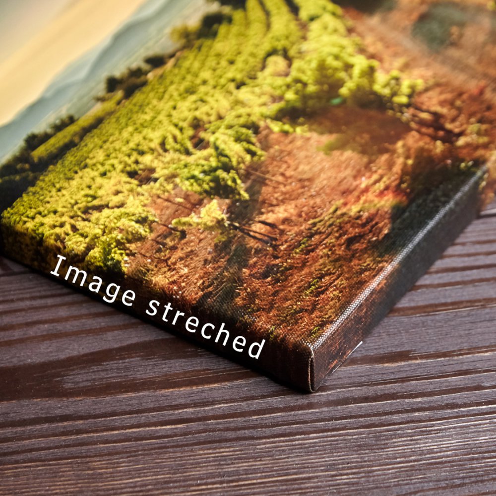 Landscape Canvas Photo Frame 101